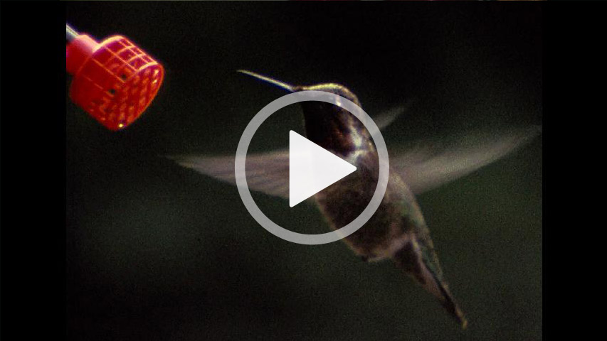 Super-8, Film, Nahaufnahmen